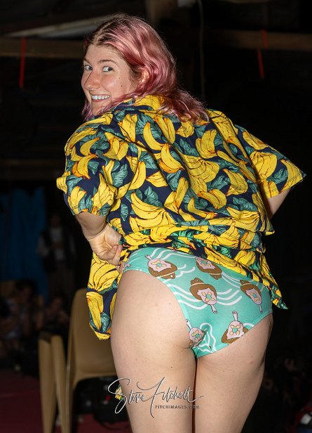 © Steve Fitchett 2023