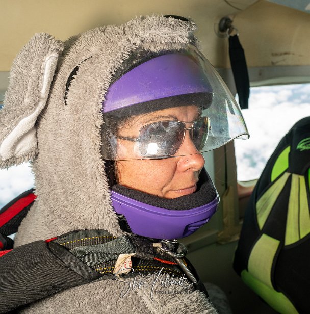 © Steve Fitchett 2023