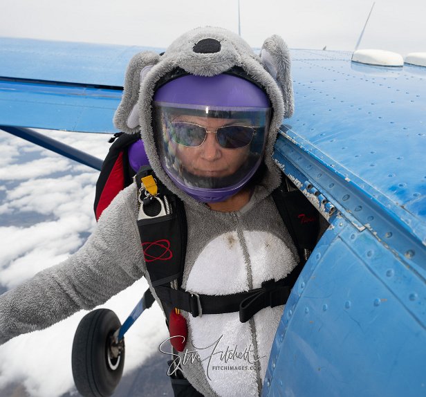 © Steve Fitchett 2023